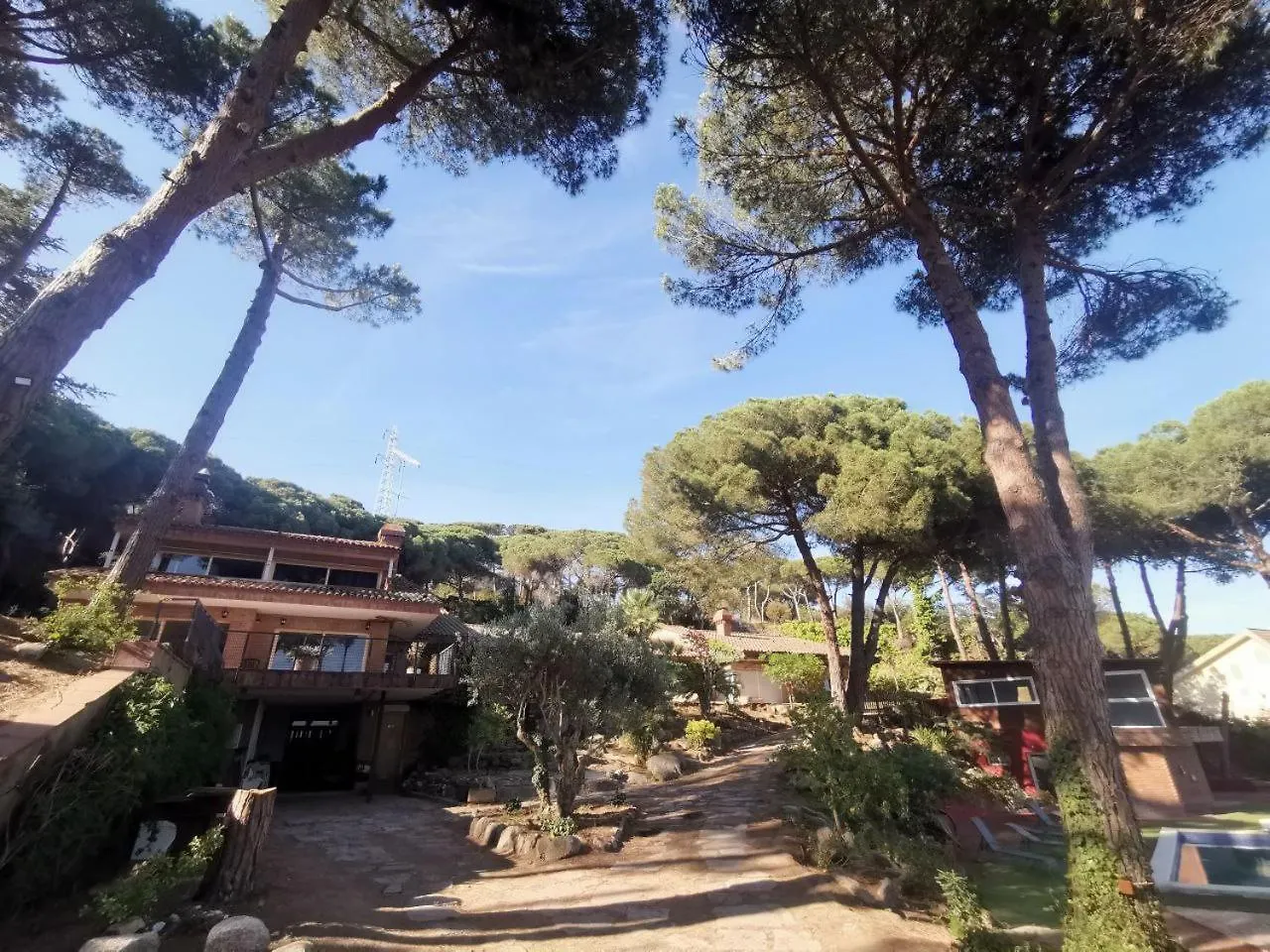 Villa Maresme & Villa Rosa ماتارو بيت خشبي